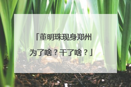 董明珠现身郑州 为了啥？干了啥？