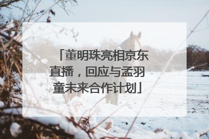 董明珠亮相京东直播，回应与孟羽童未来合作计划