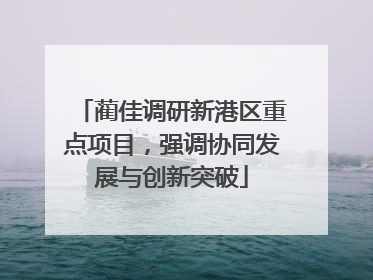 蔺佳调研新港区重点项目，强调协同发展与创新突破