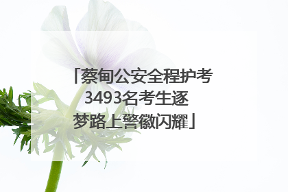 蔡甸公安全程护考 3493名考生逐梦路上警徽闪耀
