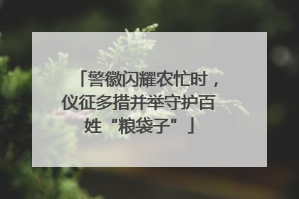 警徽闪耀农忙时，仪征多措并举守护百姓“粮袋子”