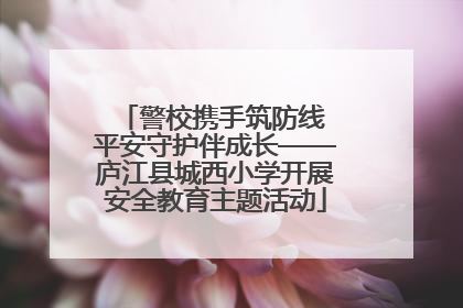 警校携手筑防线 平安守护伴成长——庐江县城西小学开展安全教育主题活动