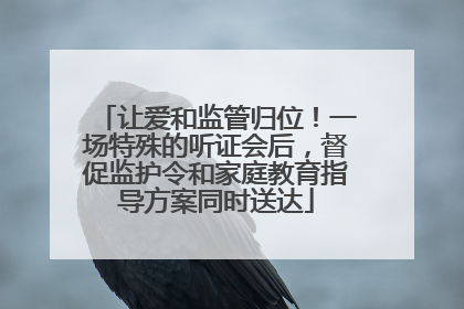 让爱和监管归位！一场特殊的听证会后，督促监护令和家庭教育指导方案同时送达