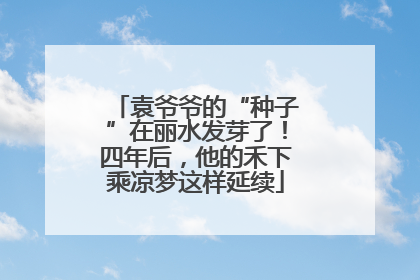 袁爷爷的“种子”在丽水发芽了！四年后，他的禾下乘凉梦这样延续