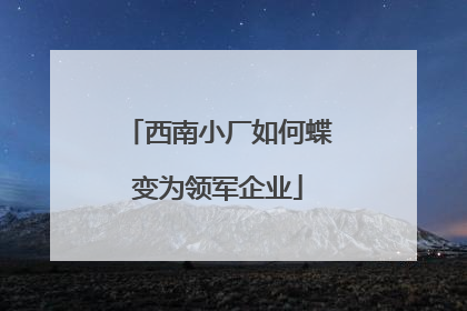 西南小厂如何蝶变为领军企业