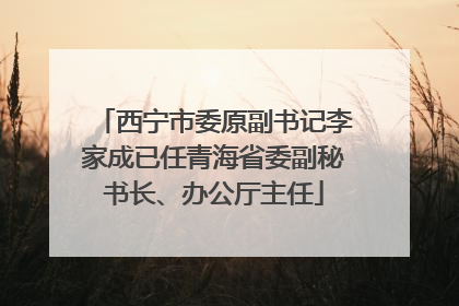 西宁市委原副书记李家成已任青海省委副秘书长、办公厅主任