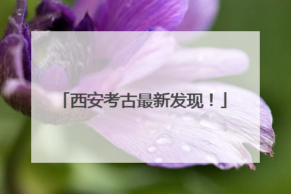 西安考古最新发现！