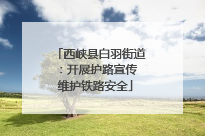 西峡县白羽街道：开展护路宣传 维护铁路安全