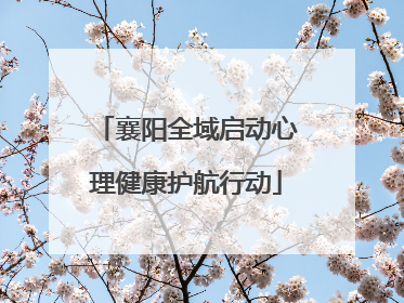 襄阳全域启动心理健康护航行动