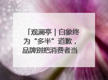 观澜亭｜白象终为“多半”道歉，品牌别把消费者当“小白”