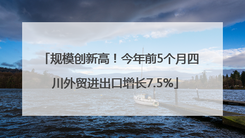 规模创新高！今年前5个月四川外贸进出口增长7.5%