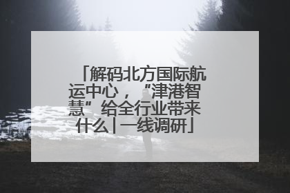 解码北方国际航运中心，“津港智慧”给全行业带来什么│一线调研