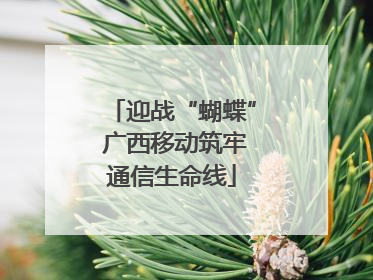 迎战“蝴蝶” 广西移动筑牢通信生命线