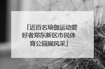 近百名瑜伽运动爱好者郑东新区市民体育公园展风采