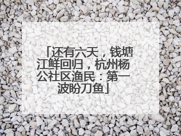 还有六天，钱塘江鲜回归，杭州杨公社区渔民：第一波盼刀鱼