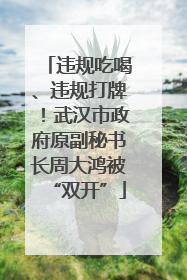 违规吃喝、违规打牌！武汉市政府原副秘书长周大鸿被“双开”