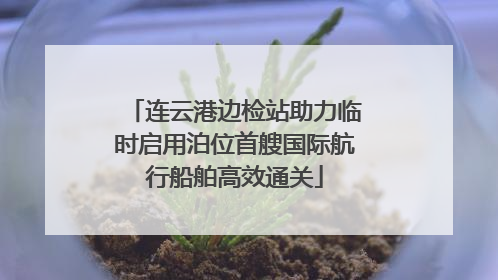连云港边检站助力临时启用泊位首艘国际航行船舶高效通关
