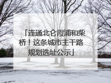 连通北仑霞浦和柴桥！这条城市主干路规划选址公示