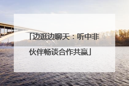 边逛边聊天：听中非伙伴畅谈合作共赢