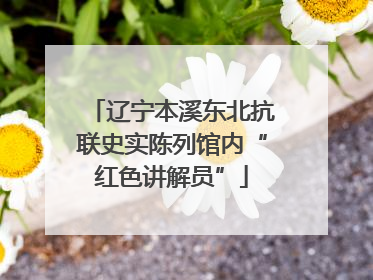 辽宁本溪东北抗联史实陈列馆内“红色讲解员”
