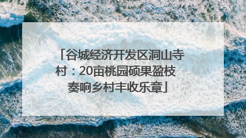 谷城经济开发区洞山寺村：20亩桃园硕果盈枝 奏响乡村丰收乐章