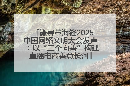 谦寻董海锋2025中国网络文明大会发声：以“三个向善”构建直播电商善意长河