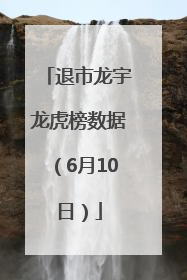 退市龙宇龙虎榜数据（6月10日）