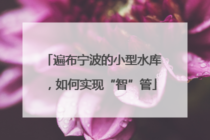 遍布宁波的小型水库，如何实现“智”管