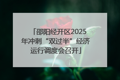邵阳经开区2025年冲刺“双过半”经济运行调度会召开