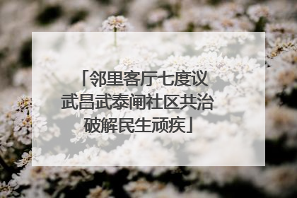 邻里客厅七度议 武昌武泰闸社区共治破解民生顽疾