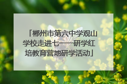 郴州市第六中学观山学校走进七一一研学红培教育营地研学活动
