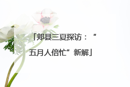 郏县三夏探访：“五月人倍忙”新解