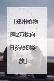 郑州植物园2万株向日葵热烈绽放