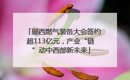 郧西燃气装备大会签约超113亿元，产业“链”动中西部新未来