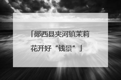 郧西县夹河镇茉莉花开好“钱景”