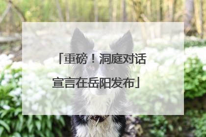 重磅！洞庭对话宣言在岳阳发布