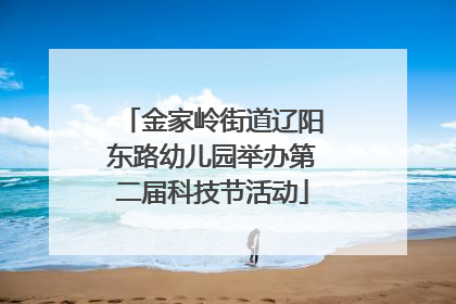 金家岭街道辽阳东路幼儿园举办第二届科技节活动