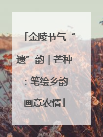 金陵节气“遗”韵｜芒种：笔绘乡韵 画意农情
