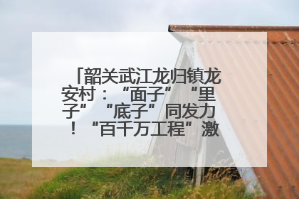 韶关武江龙归镇龙安村：“面子”“里子”“底子”同发力！“百千万工程”激活乡村新动能