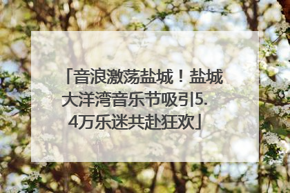 音浪激荡盐城！盐城大洋湾音乐节吸引5.4万乐迷共赴狂欢