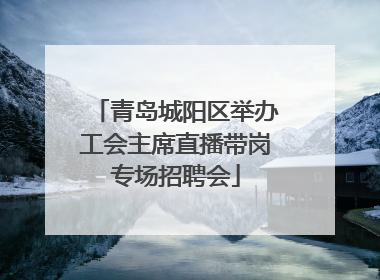 青岛城阳区举办工会主席直播带岗专场招聘会