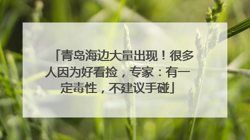 青岛海边大量出现！很多人因为好看捡，专家：有一定毒性，不建议手碰