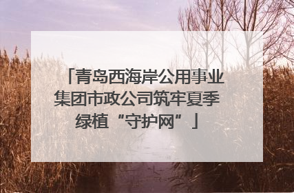 青岛西海岸公用事业集团市政公司筑牢夏季绿植“守护网”