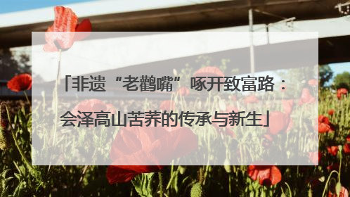 非遗“老鹳嘴”啄开致富路：会泽高山苦荞的传承与新生