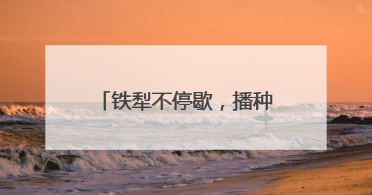 铁犁不停歇，播种新希望——山东“三夏”抢收抢种忙