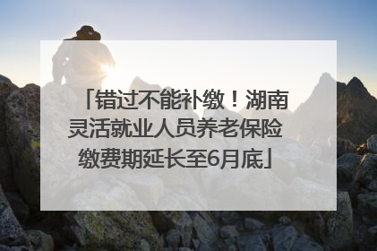 错过不能补缴！湖南灵活就业人员养老保险缴费期延长至6月底