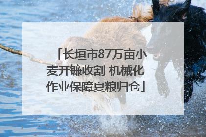 长垣市87万亩小麦开镰收割 机械化作业保障夏粮归仓