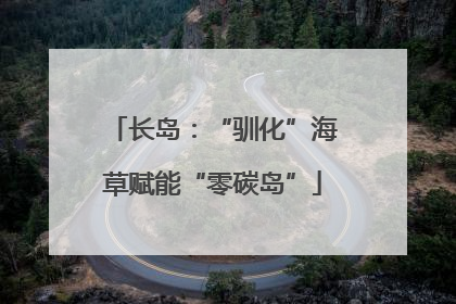 长岛：“驯化”海草赋能“零碳岛”