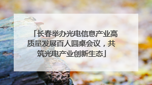 长春举办光电信息产业高质量发展百人圆桌会议，共筑光电产业创新生态