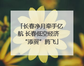 长春净月牵手亿航 长春低空经济“添翼”腾飞